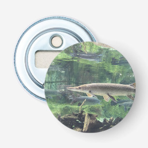 Décapsuleur River Pike Fish Clear Water Photo