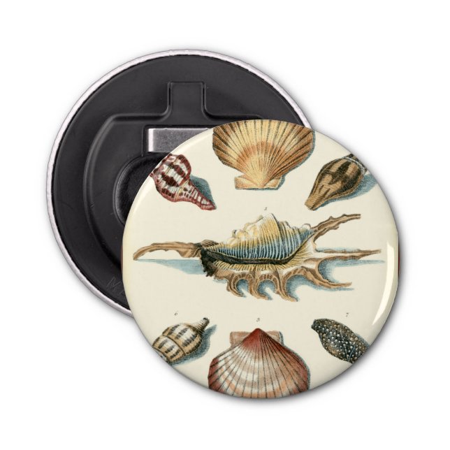 Décapsuleur Shell de fantaisie échouent (Devant)