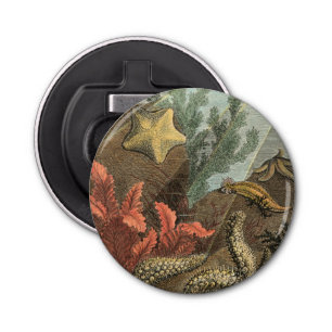 Décapsuleur Sous la mer