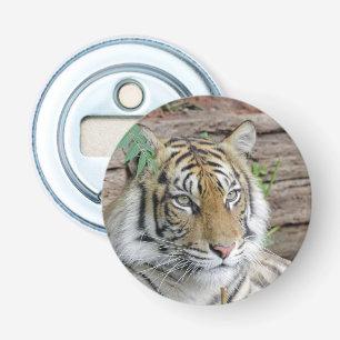 Décapsuleur Tiger_002