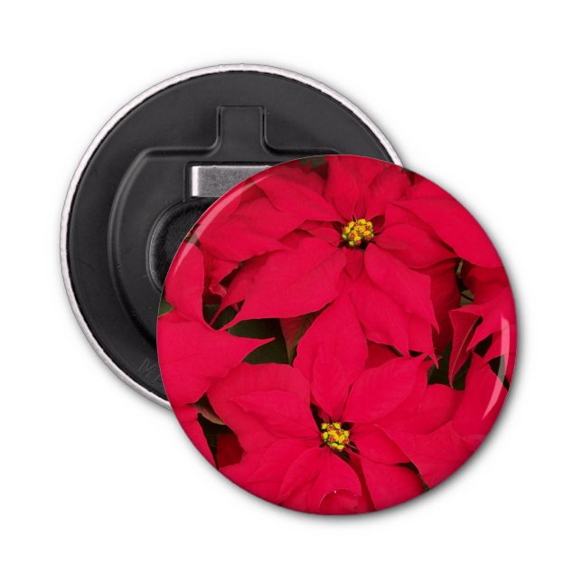 Décapsuleur Un tas de Poinsettias de Noël aux couleurs vives (Devant)