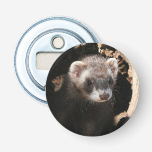 Décapsuleur Visage de furet
