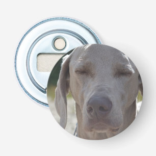 Décapsuleur Weimaraner somnolent