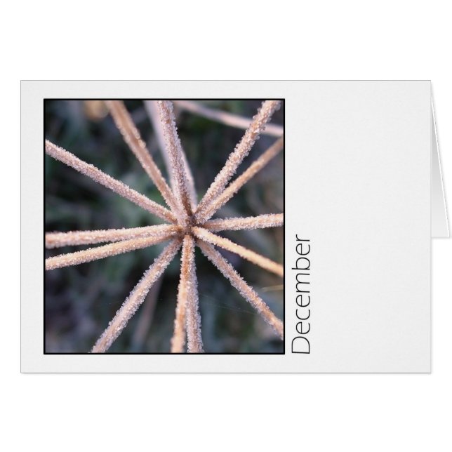 Décembre (Devant horizontal)