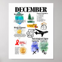 Décembre Fun Facts Poster