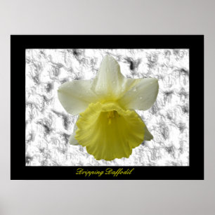 Déchets Daffoldil - Impression personnalisable