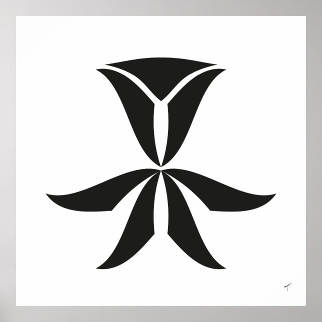 Déco Tulip, Poster (Devant)