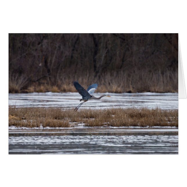 Décollage d'Heron (Devant Horizontal)