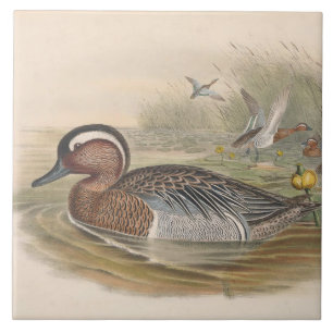 Décor canards vintages cool carreaux en céramique