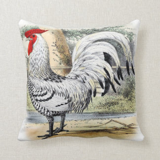 Décor de cottage de pays de coussin d'accent de