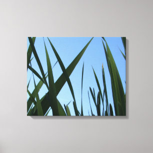 Décor Mur En Toile Grass Enveloppé