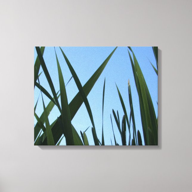 Décor Mur En Toile Grass Enveloppé (Recto)