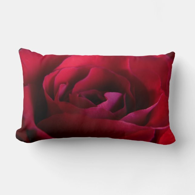 Décor rose Rose rouge Coussin (Recto)