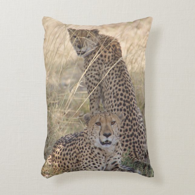 Décoratifs Deux Coussins Cheetahs (Devant(Vertical))