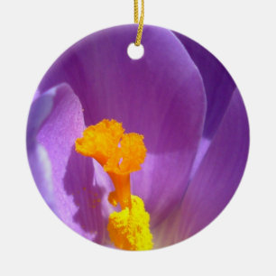 Décoration de l'ornement de crocus aux fleurs viol