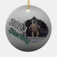 2023 Céramique Cercle Ornament Sterling