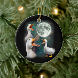 Décoration En Céramique 3 Canards Hurle À La Lune Drôle Étrange Maudit Can