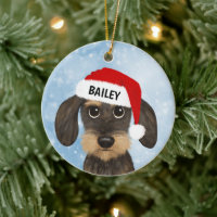 À poils durs Dachshund Père Noël Teckel Chien Nom