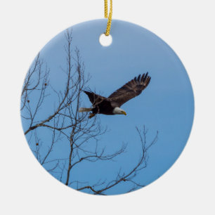 Décoration En Céramique Aigle en vol
