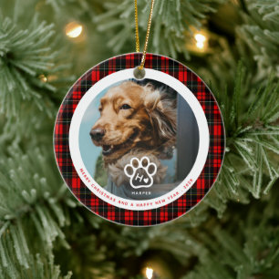 Décoration En Céramique Ajoutez Votre Propre Photo de Chiens Animaux Domes