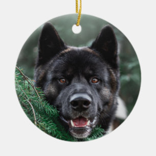Décoration En Céramique Akita Chien chiot dans une forêt de pins Noël