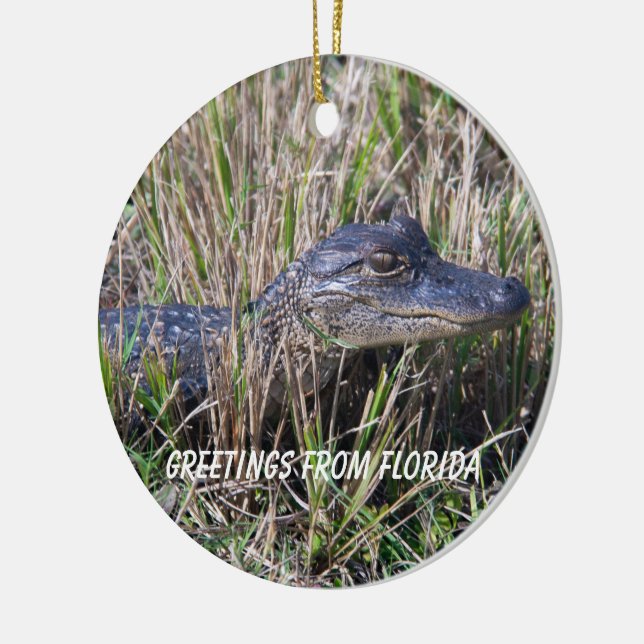 Décoration En Céramique  Alligator Greetings From Florida (Gauche)