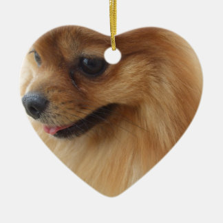Décoration En Céramique Amant de Pomeranian