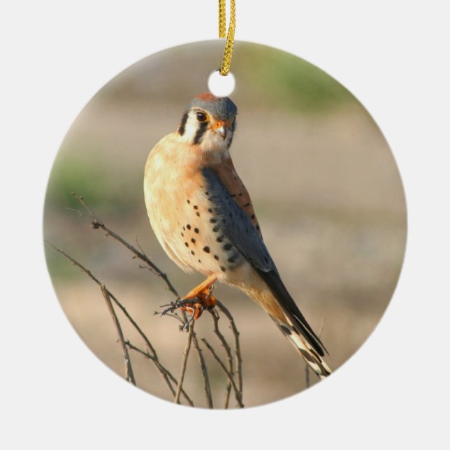 Décoration En Céramique Américain Kestel (Devant)