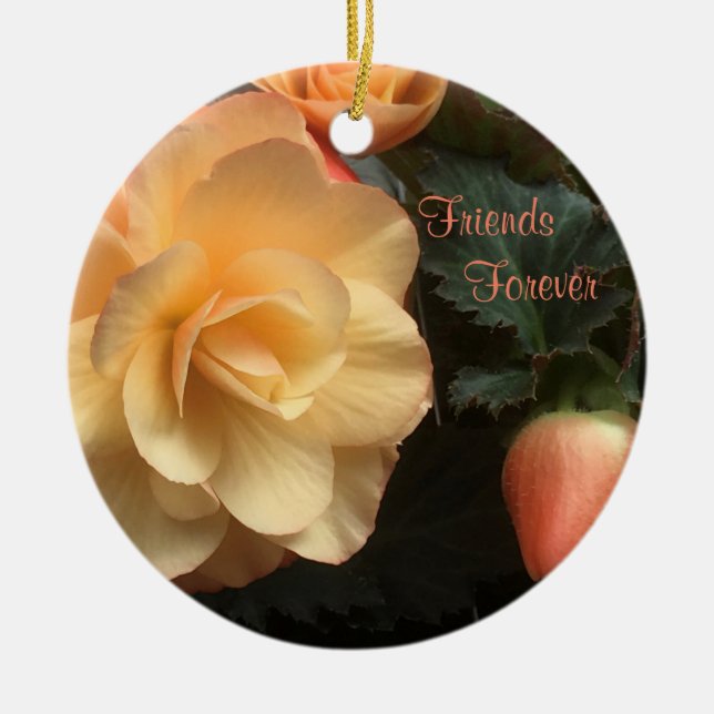 Décoration En Céramique Amis pour toujours (Devant)
