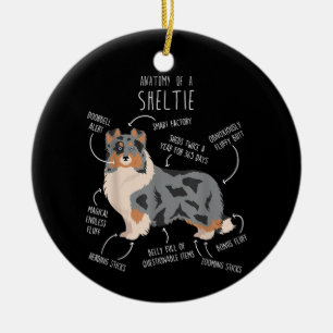 Décoration En Céramique Anatomie du Berger des Shetland Blue Merle Sheltie