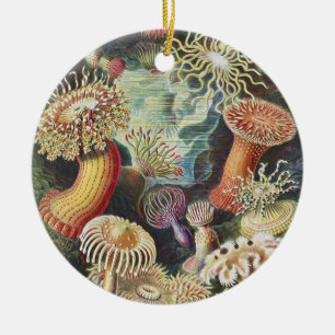 Décoration En Céramique Anémones de mer de Haeckel Collage d'art de vie na