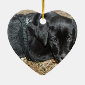 Décoration En Céramique Angus