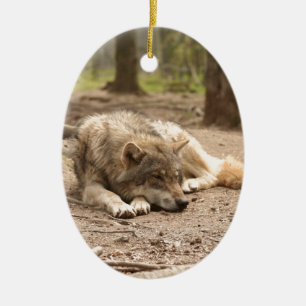 Décoration En Céramique Animal Loup Paix Amour Sauvage Pays Nature