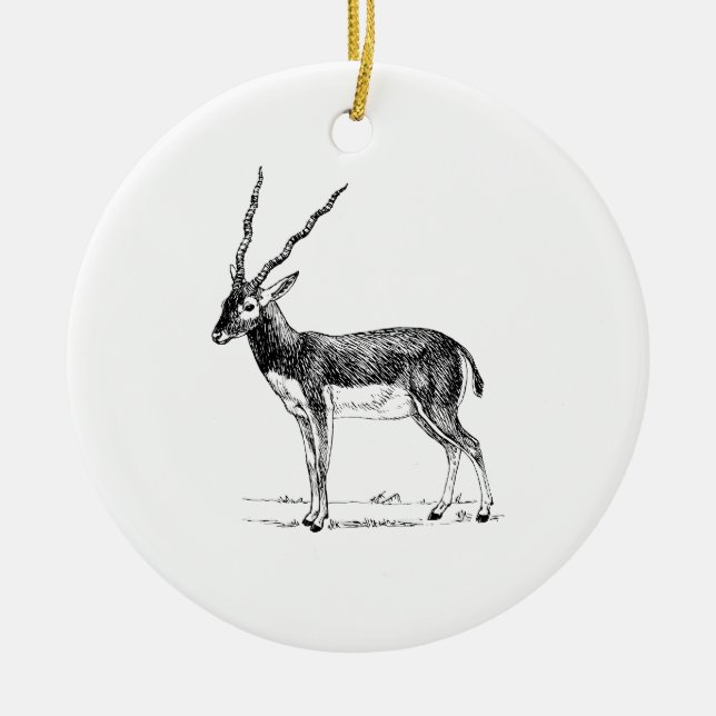Décoration En Céramique Antilope de Blackbuck (Devant)