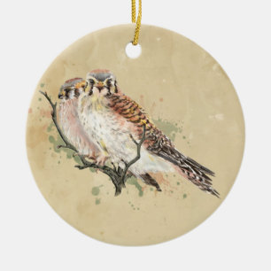 Décoration En Céramique Aquarelle Kestrel Américain, Faucon Oiseau Couple