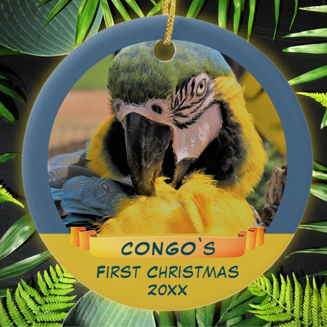 Décoration En Céramique Ara Parrot Pet 1er Noël Ribbon Photo (Créateur téléchargé)