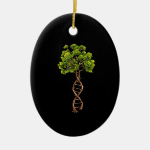 Décoration En Céramique Arbre De La Vie Science Génétique Milieu Biologi