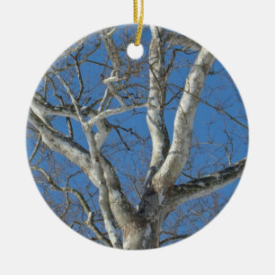 Décoration En Céramique Arbre de sycomore contre des articles de ciel
