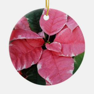 Décoration En Céramique Argent Star Marbre Poinsettias Pink Holiday Floral