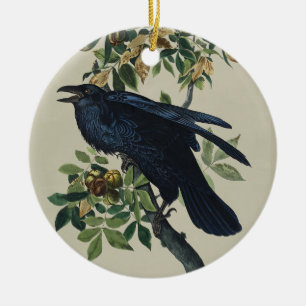 Décoration En Céramique Art de la nature de l'oiseau corbeau Audubon vinta