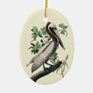 Décoration En Céramique Art Vintage Audubon du Pélican Brun, Oiseau des Cô