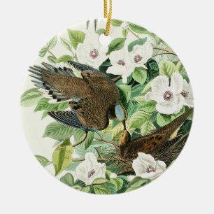 Décoration En Céramique Art vintage de l'oiseau Columbina passerine d'Audu
