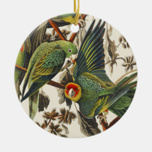 Décoration En Céramique Art vintage d'oiseau de Audubon Perruche de Caroli