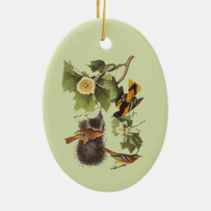 Décoration En Céramique Art vintage Troupiale Oiseaux Audubon