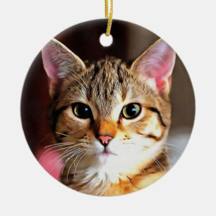 Décoration En Céramique Artistic Tabby Cat Kitten Portrait