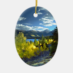 Décoration En Céramique Aspen