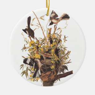 Décoration En Céramique Audubon se moque des oiseaux