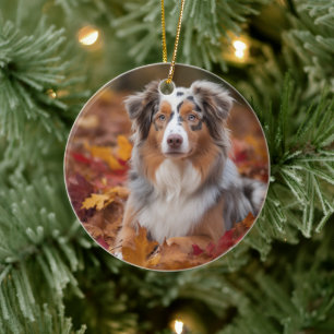 Décoration En Céramique Australian Shepherd dans les feuilles d'automne qu