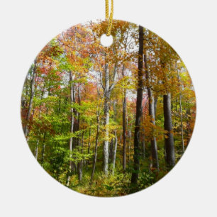 Décoration En Céramique Automne Forêt I Automne Paysage Photographie