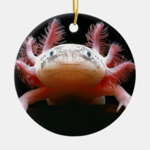 Décoration En Céramique Axolotl Axolotl.png